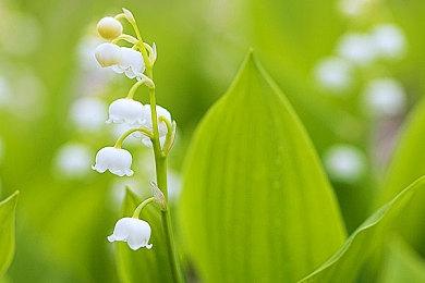 亚马逊透露《刀剑神域：碎梦边境》将于10月3日发售